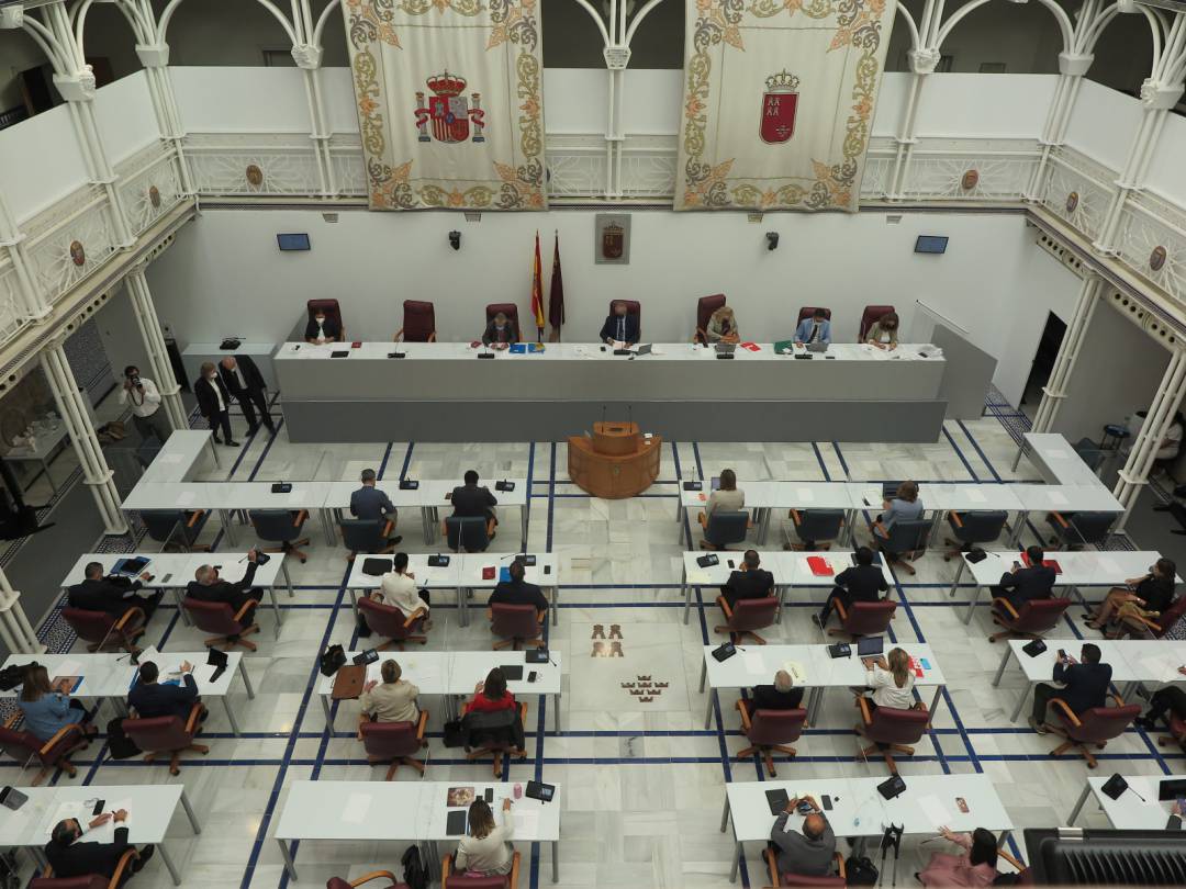 Pleno 13 octubre Pleno 13 octubre