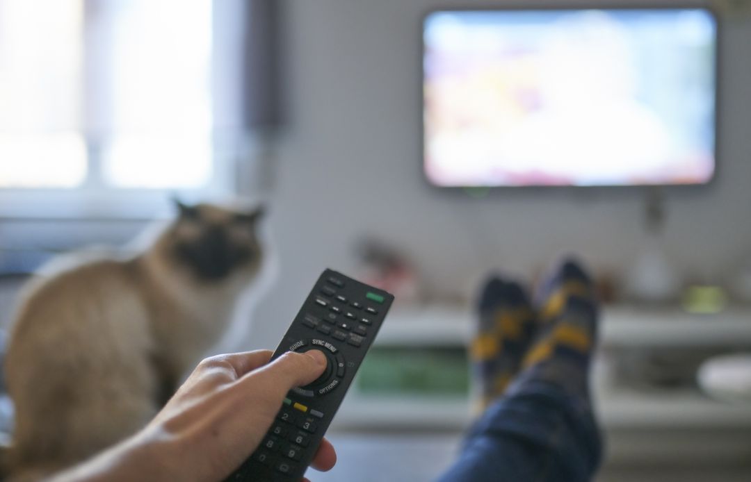 Una persona viendo su televisor. Una persona viendo su televisor.