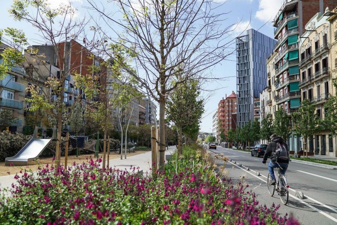 Una persona en bicicleta en la Ciudad Condal Una persona en bicicleta en la Ciudad Condal