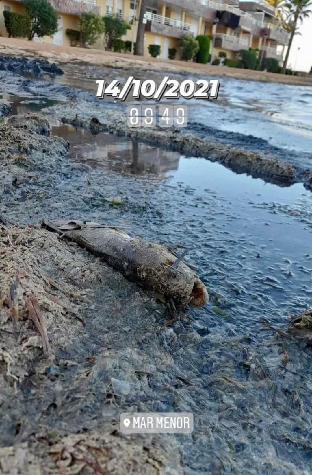 Imágenes de la playa del Arpón en La Manga Imágenes de la playa del Arpón en La Manga