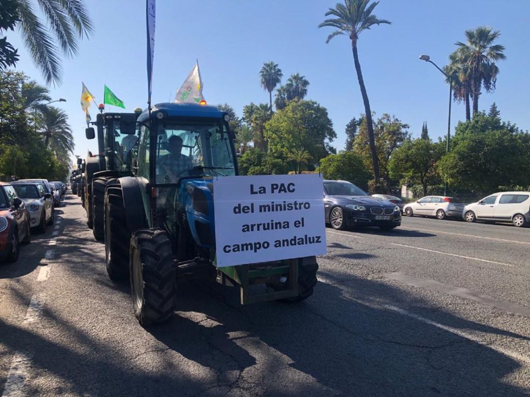 Tractores por la Avenida de la Palmera Tractores por la Avenida de la Palmera