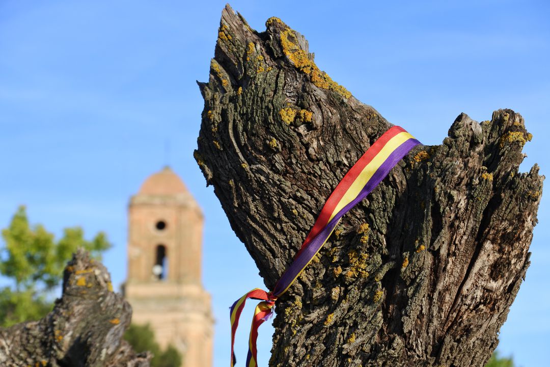 El Certamen de Relatos de la asociación Comisión de la Verdad de San Sebastián de los Reyes busca potenciar la memoria histórica. El Certamen de Relatos de la asociación Comisión de la Verdad de San Sebastián de los Reyes busca potenciar la memoria histórica.