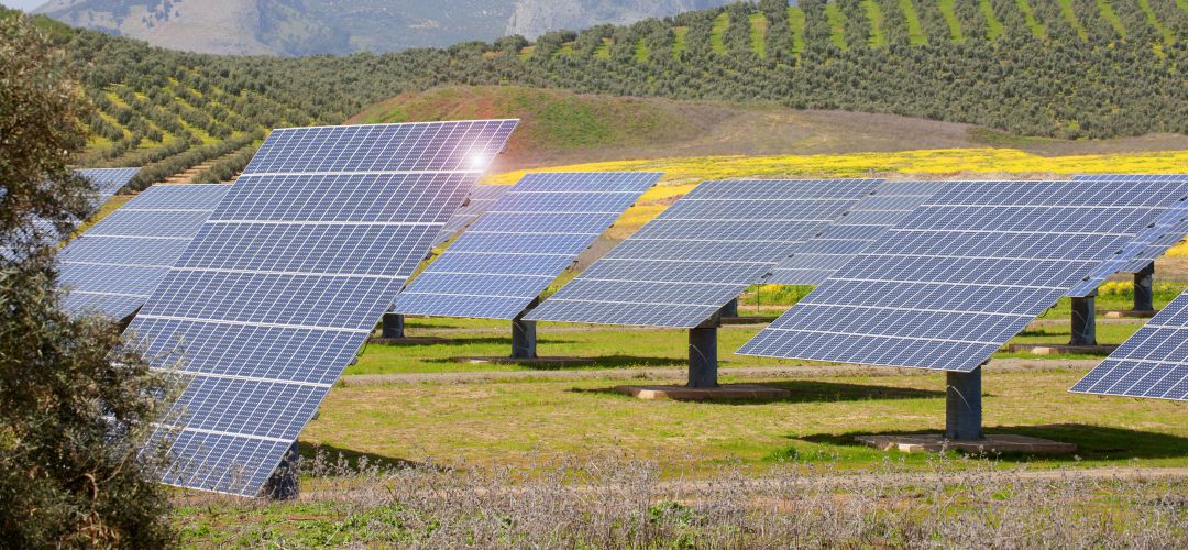 Las macroplantas fotovoltaicas tienen un gran impacto ambiental Las macroplantas fotovoltaicas tienen un gran impacto ambiental