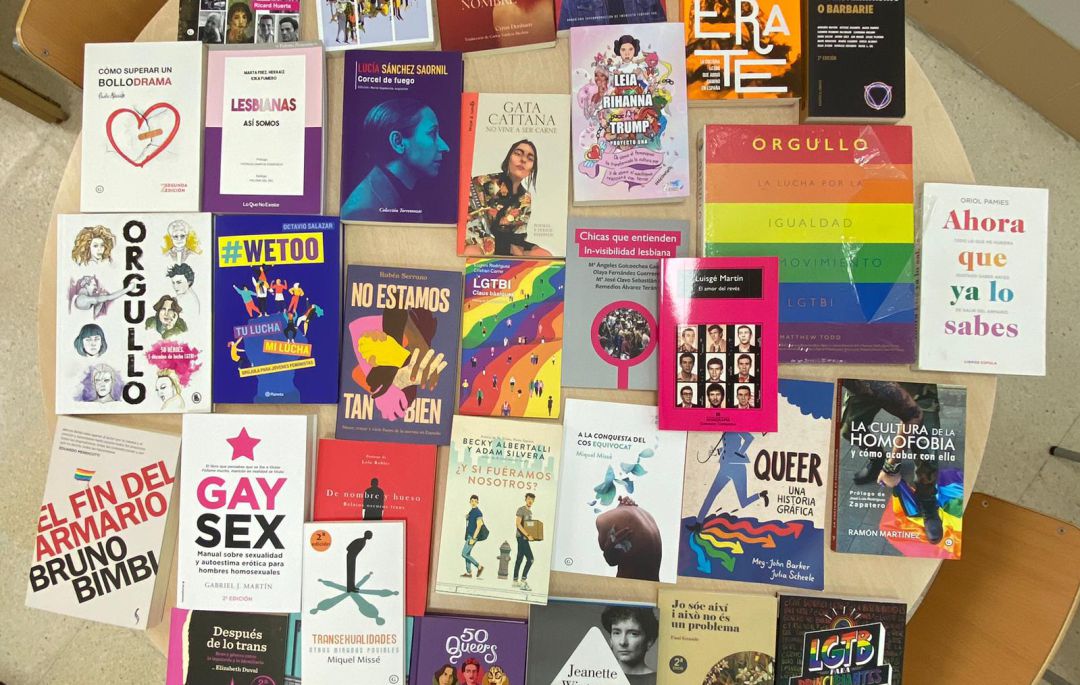 Algunos de los libros cuya distribución ha sido paralizada por un juzgado de Castelló. Algunos de los libros cuya distribución ha sido paralizada por un juzgado de Castelló.
