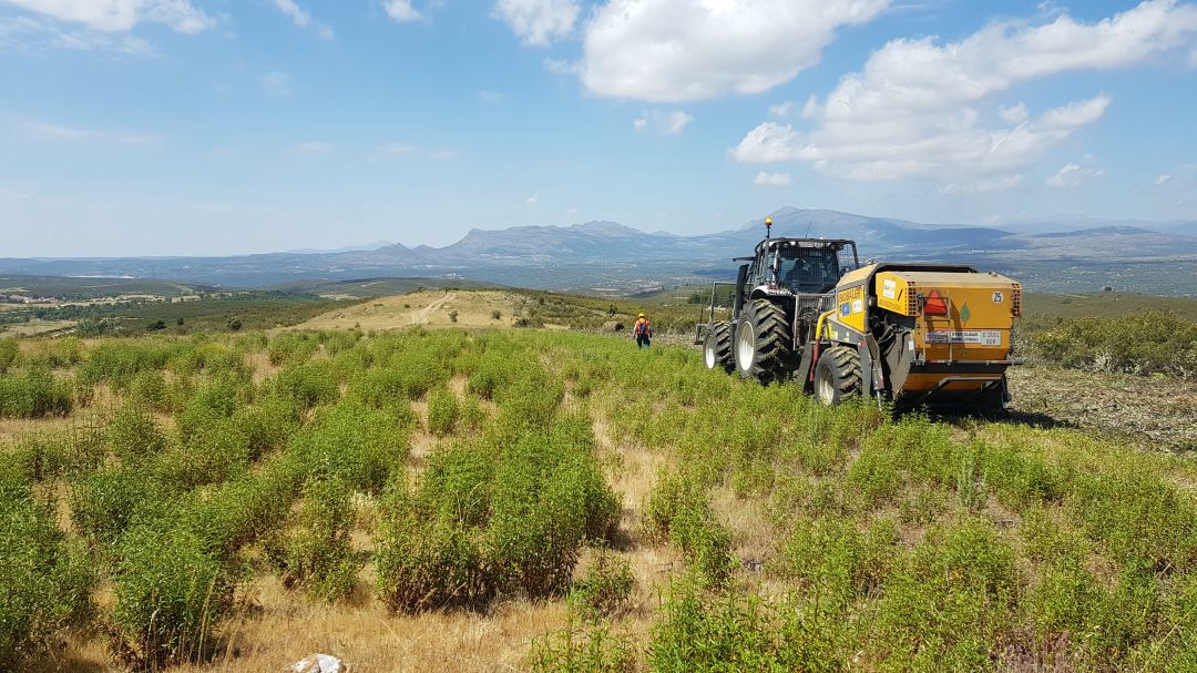 Los agricultores de Castilla y León comienzan a recibir los primeros pagos de la PAC Los agricultores de Castilla y León comienzan a recibir los primeros pagos de la PAC