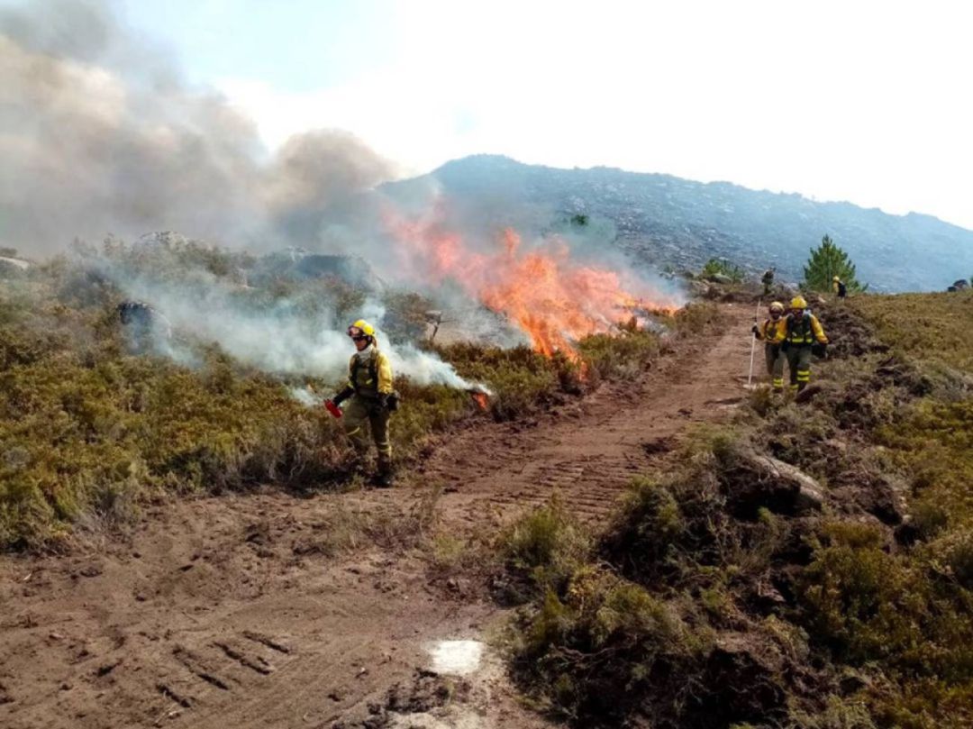 La superficie arbolada quemada y el número de incendios se reduce muy considerablemente en la últimas campaña La superficie arbolada quemada y el número de incendios se reduce muy considerablemente en la últimas campaña