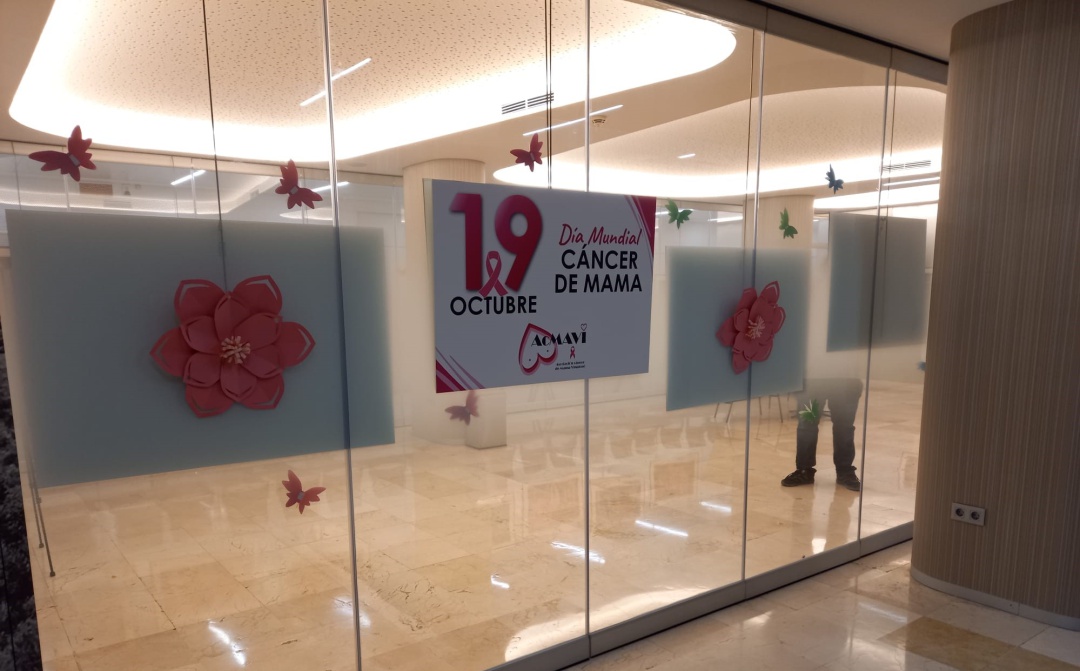 La exposición organizada por ACMAVI se puede visitar en el vestibulo del Hospital Universitario Virgen de la Salud de Elda La exposición organizada por ACMAVI se puede visitar en el vestibulo del Hospital Universitario Virgen de la Salud de Elda