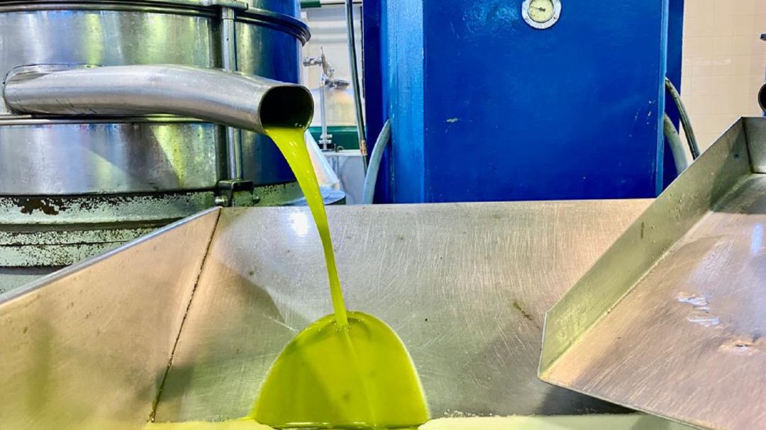 Extracción del aceite temprano de La Quinta Esencia, esta misma tarde Extracción del aceite temprano de La Quinta Esencia, esta misma tarde