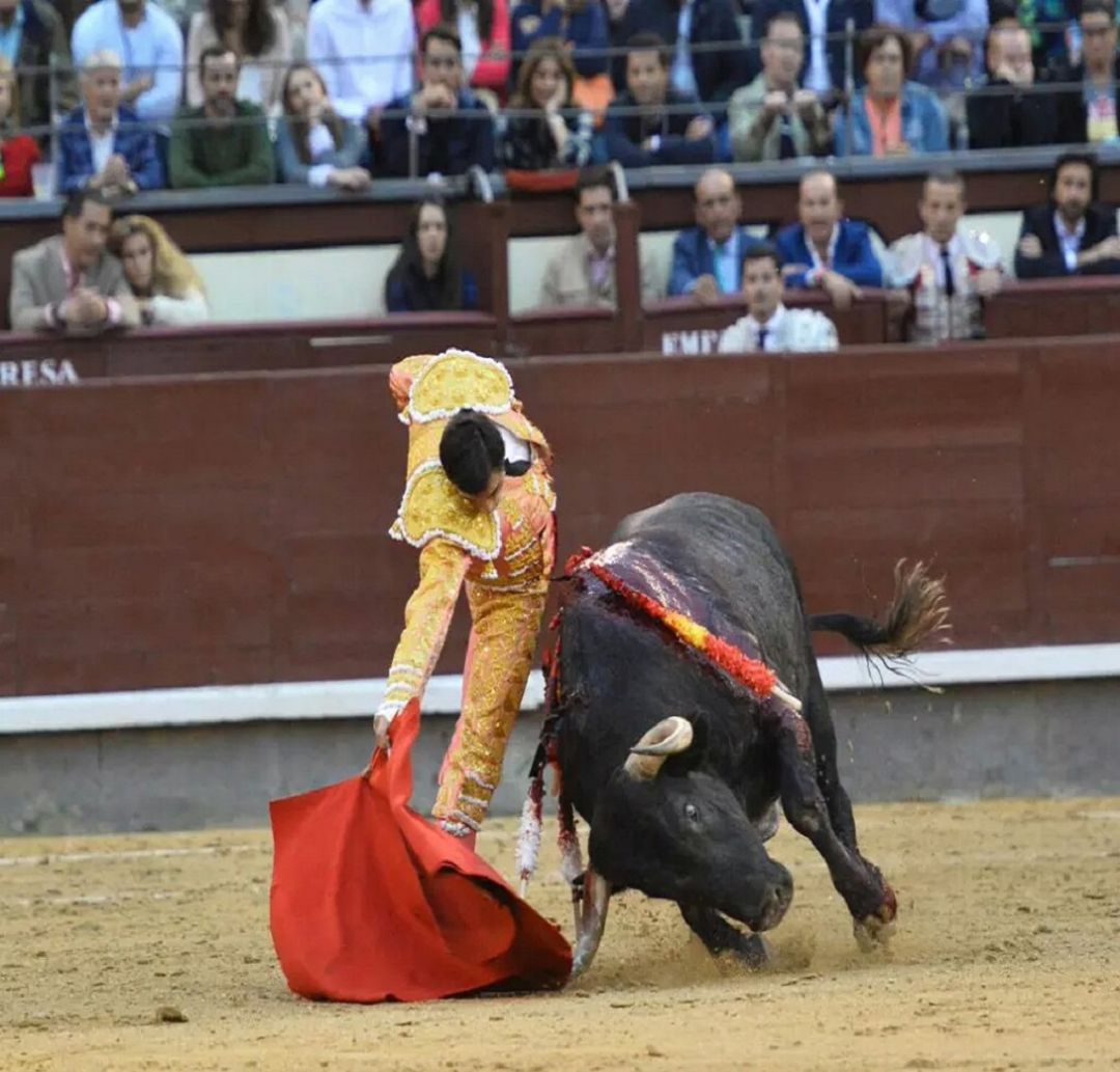 El diestro lorquino Paco Ureña resultó cogido de gravedad en la Plaza de Toros de Abarán.Foto de archivo. El diestro lorquino Paco Ureña resultó cogido de gravedad en la Plaza de Toros de Abarán.Foto de archivo.