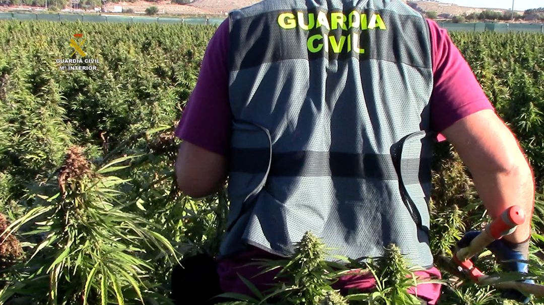Uno de los agentes durante la operación Uno de los agentes durante la operación