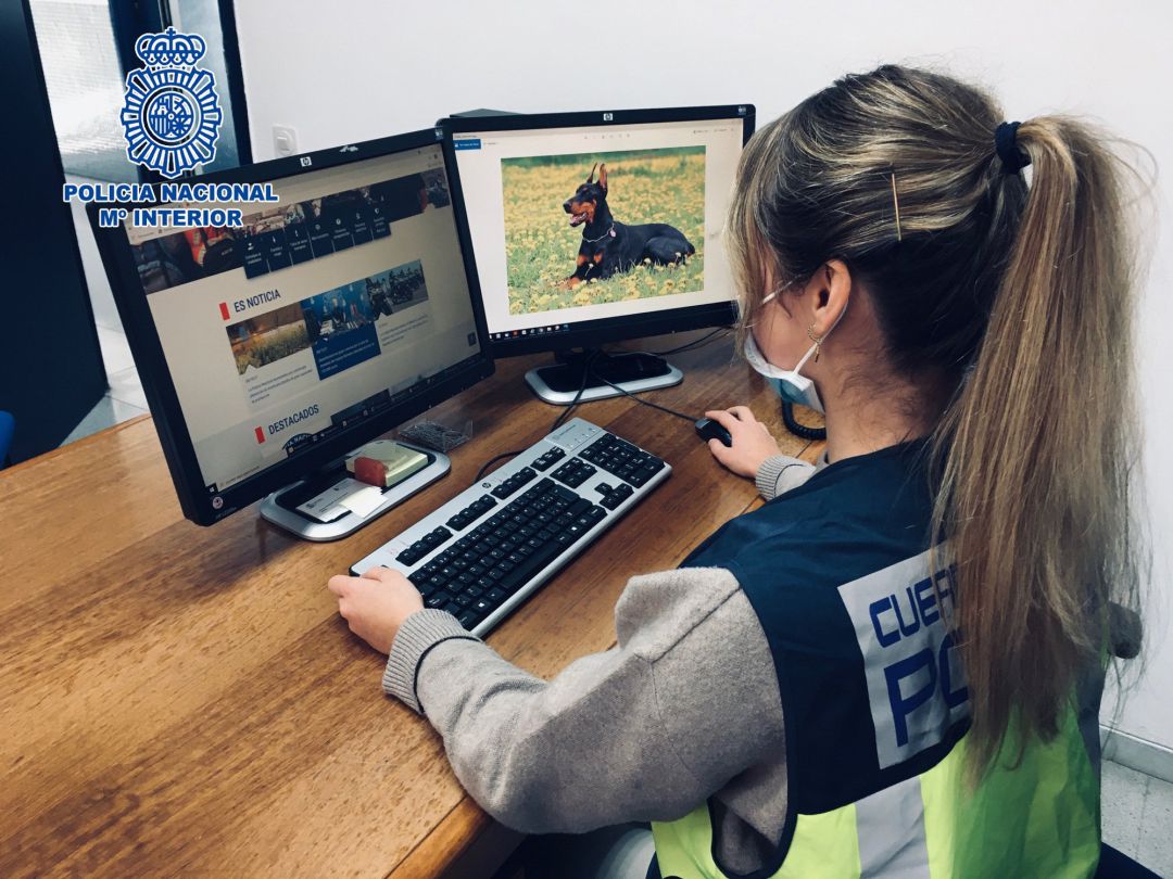 Imagen de una agente de la Policía Nacional
Imagen de una agente de la Policía Nacional