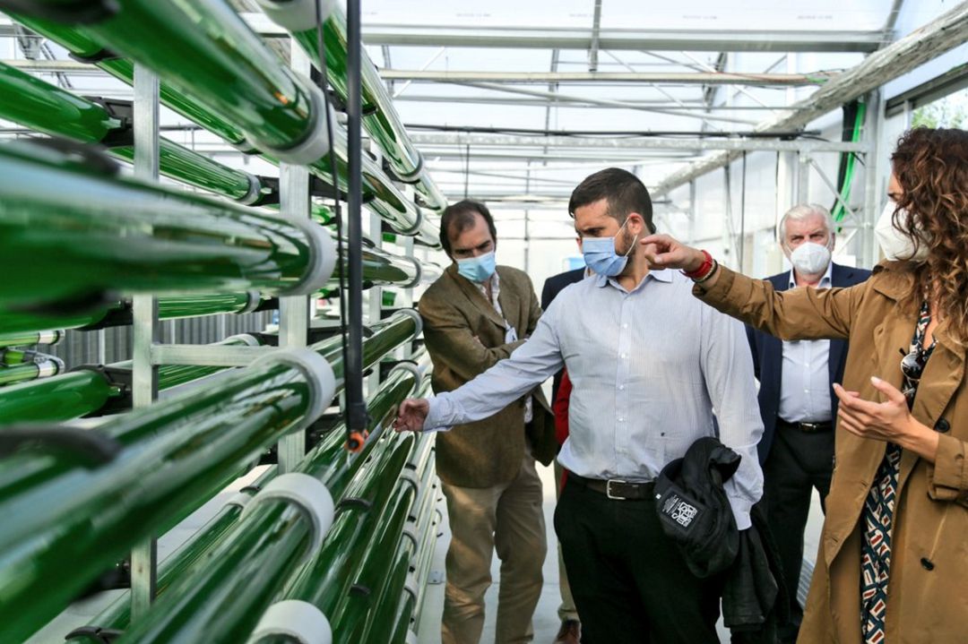Jesús Santos, presidente de Esmasa conoce cómo se recicla el aire a través de microalgas Jesús Santos, presidente de Esmasa conoce cómo se recicla el aire a través de microalgas