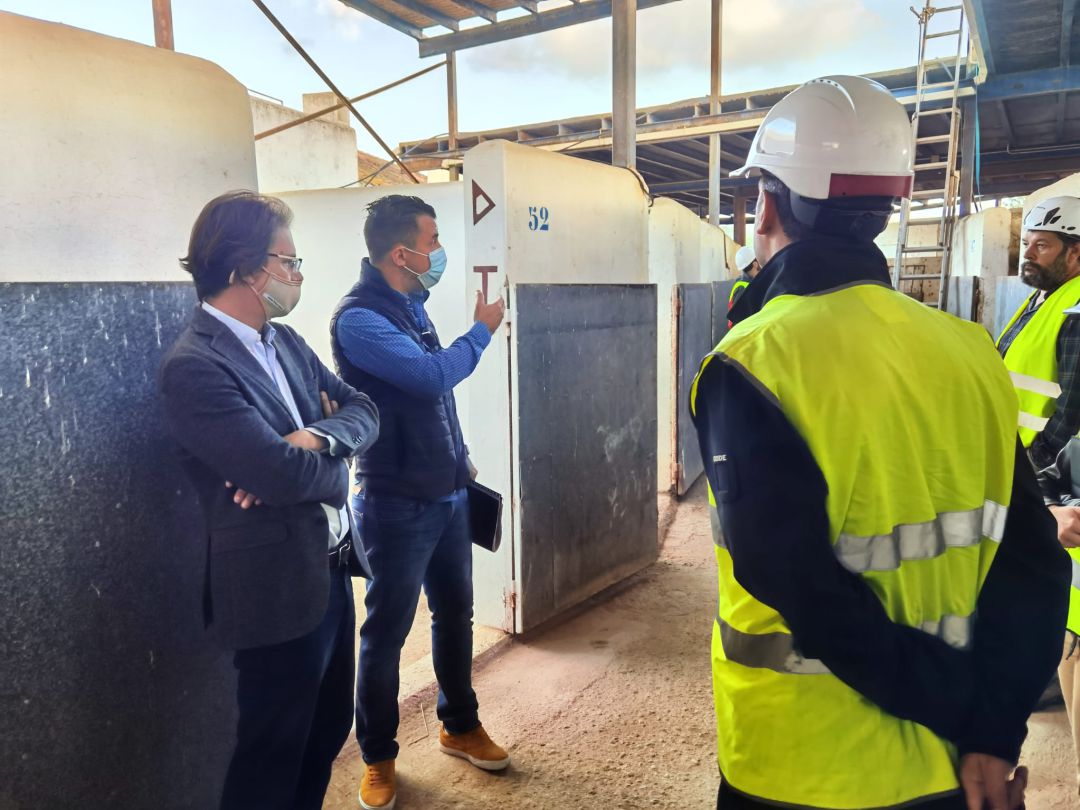 Visita a la zona de las obras Visita a la zona de las obras