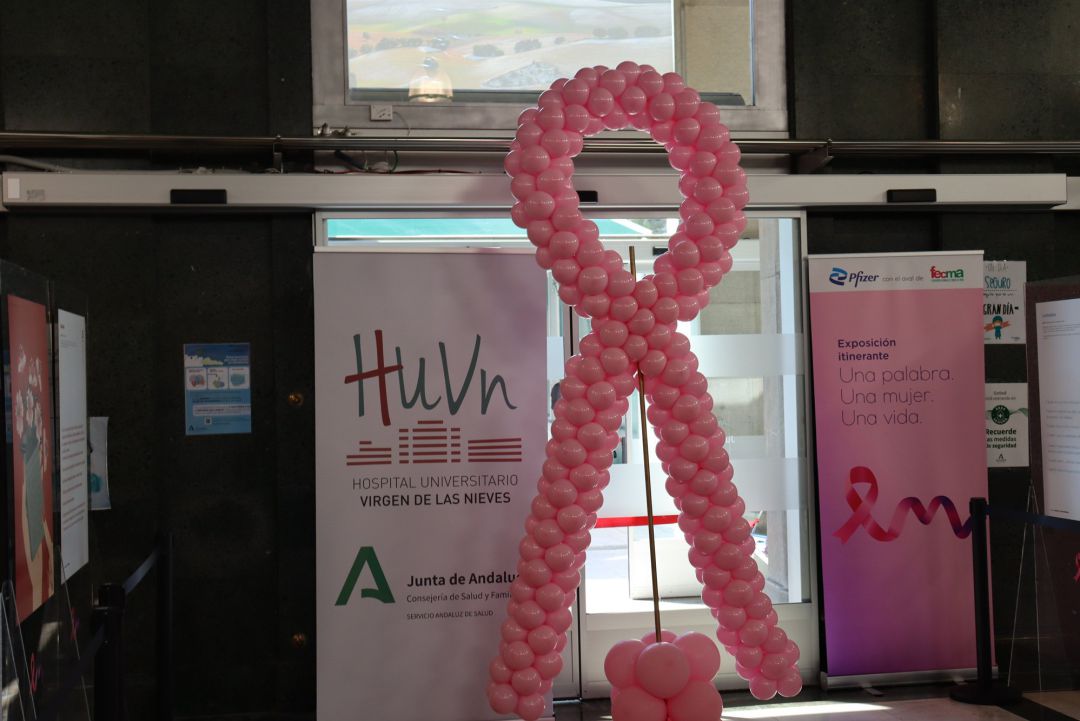 Qué bulos no debes creerte sobre el cáncer de mama Qué bulos no debes creerte sobre el cáncer de mama