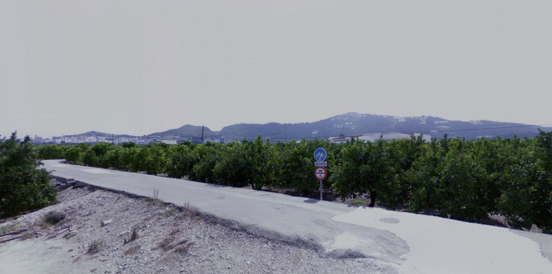 Carril bici que une Gandia y Oliva por la antigua vía del tren Carril bici que une Gandia y Oliva por la antigua vía del tren