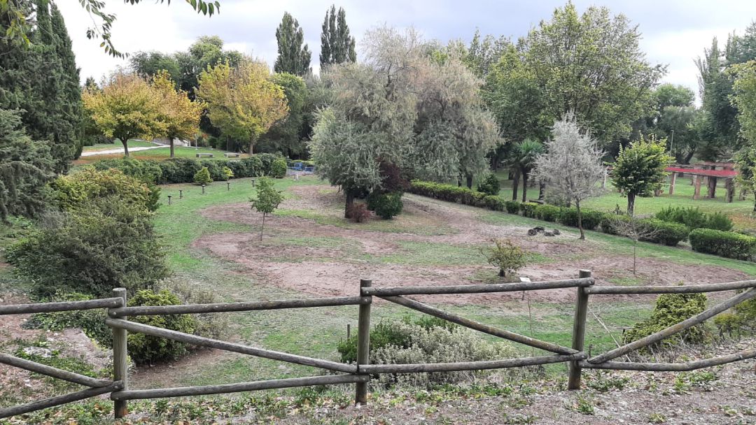 Espacio que se adaptará para zona de esparcimiento canino en el parque de la Huerta del Duque en Cuéllar Espacio que se adaptará para zona de esparcimiento canino en el parque de la Huerta del Duque en Cuéllar