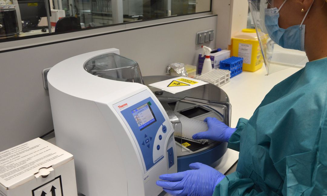 Realización de pruebas PCR Realización de pruebas PCR