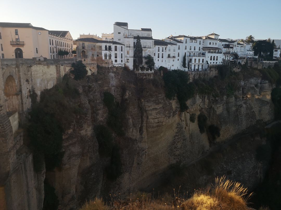 Las cornisas del Tajo es una de las zonas donde más vegetación de este tipo ha aparecido Las cornisas del Tajo es una de las zonas donde más vegetación de este tipo ha aparecido