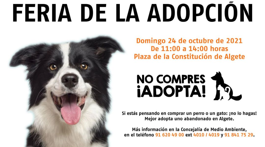 Algete pone en marcha un nuevo año su Feria de Adopción para fomentar la adopción de los perros sin hogar Algete pone en marcha un nuevo año su Feria de Adopción para fomentar la adopción de los perros sin hogar
