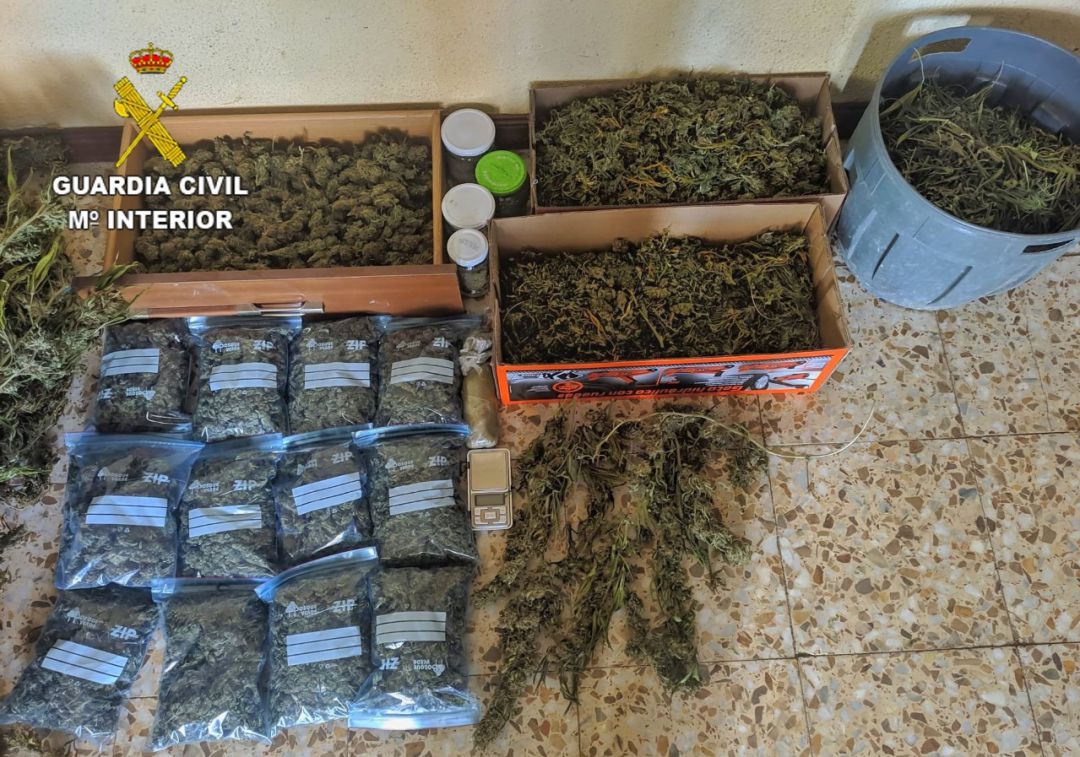 Se incautaron 12 bolsas de cogollos listas para su distribución, 14 plantas de marihuana y varias bolsas preparadas para su menudeo, entre otros efectos Se incautaron 12 bolsas de cogollos listas para su distribución, 14 plantas de marihuana y varias bolsas preparadas para su menudeo, entre otros efectos