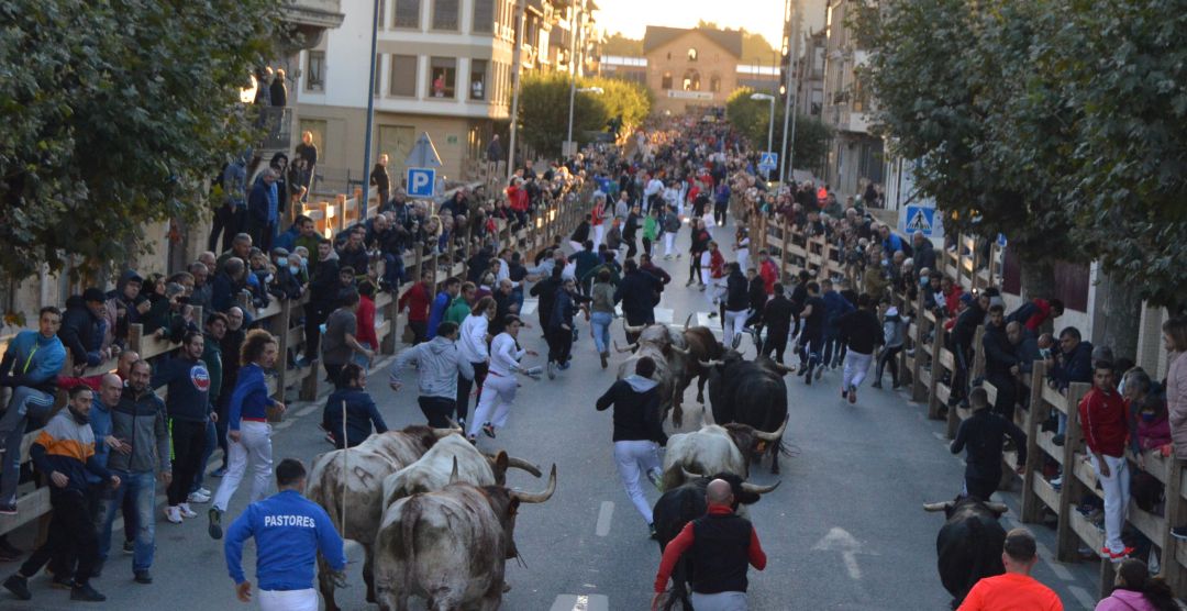 Menos corredores y espectadores en el último encierro de ferias de Tafalla Menos corredores y espectadores en el último encierro de ferias de Tafalla