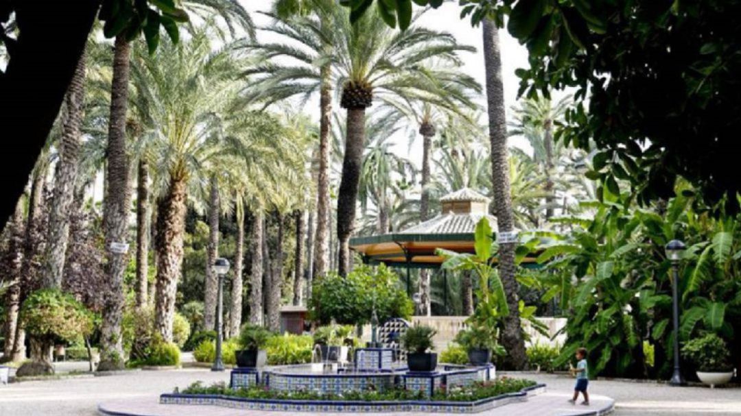Palmeral de Elche Palmeral de Elche