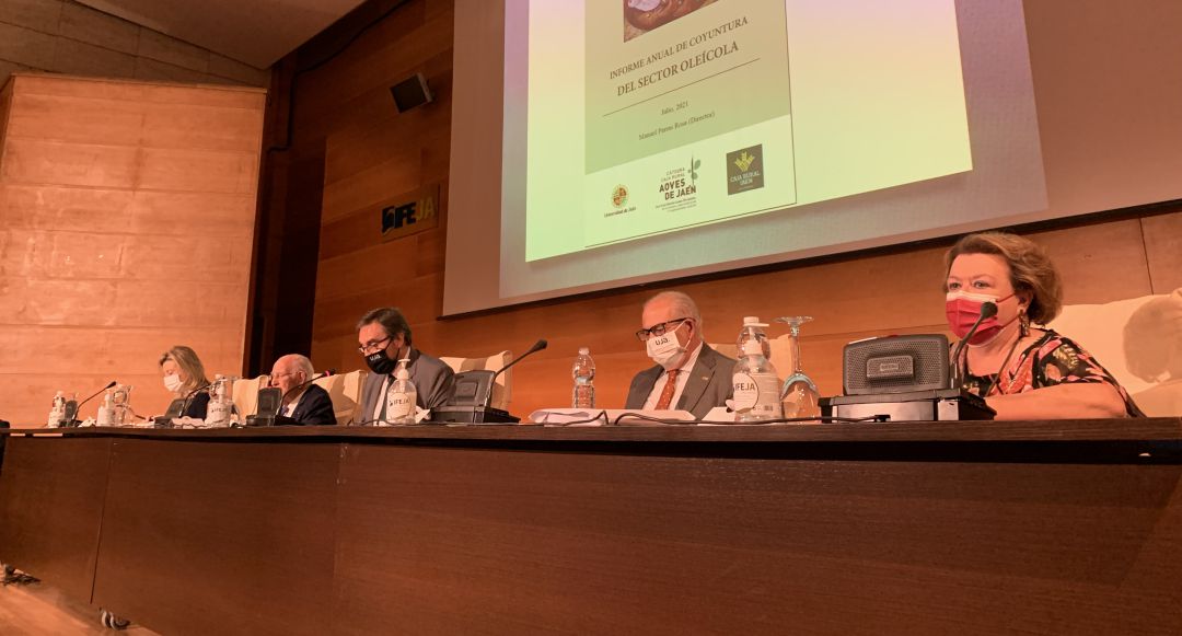 El rector de la UJA, Juan Gómez (centro), durante la presentación del informe anual de la Cátedra. El rector de la UJA, Juan Gómez (centro), durante la presentación del informe anual de la Cátedra.