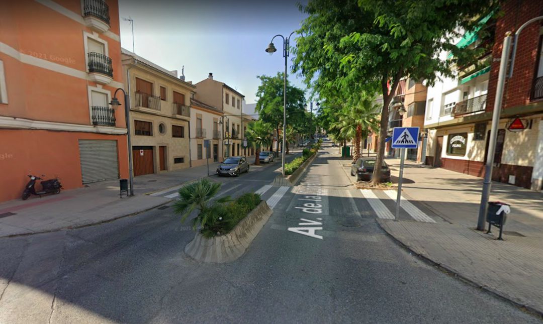 Uno de los pasos de peatones de la Avenida de la Constitución Uno de los pasos de peatones de la Avenida de la Constitución