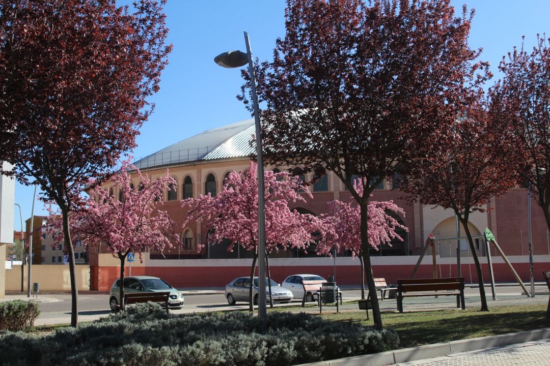 Imagen de archivo de la Plaza de Toros de Aranda Imagen de archivo de la Plaza de Toros de Aranda