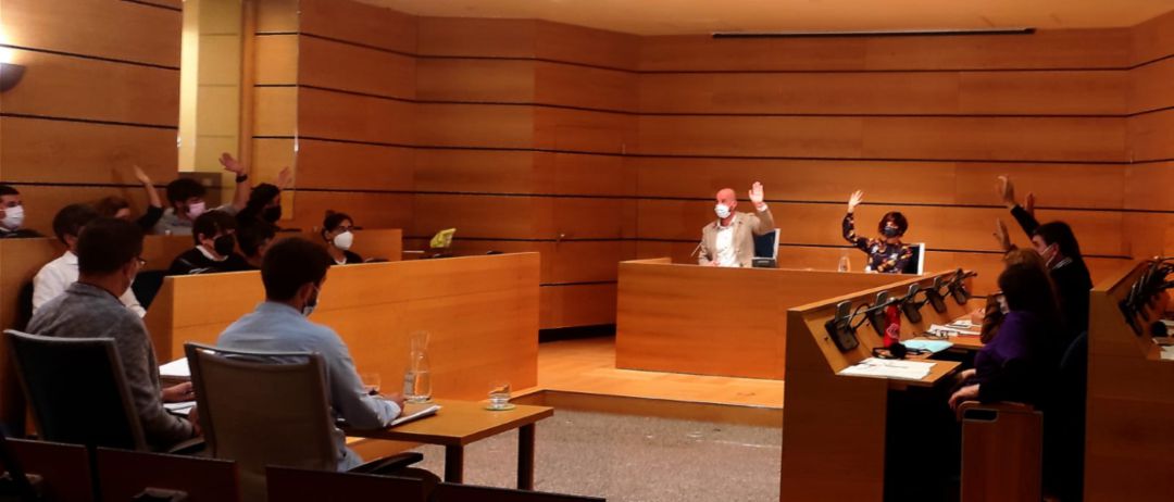 PSE-EE y EH Bildu votaron a favor del convenio con Euskal Trenbide Sarea PSE-EE y EH Bildu votaron a favor del convenio con Euskal Trenbide Sarea