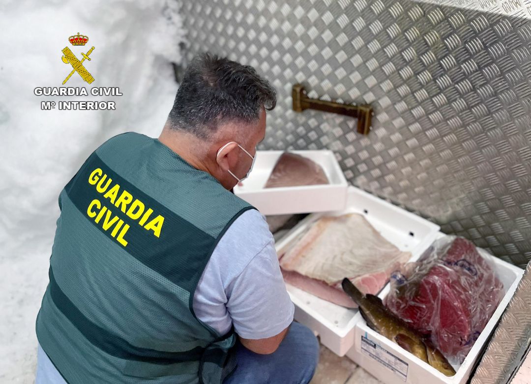 La Guardia Civil ha detenido a tres personas por robar en San Pedro 50 atunes rojos valorados en 175.000 euros La Guardia Civil ha detenido a tres personas por robar en San Pedro 50 atunes rojos valorados en 175.000 euros