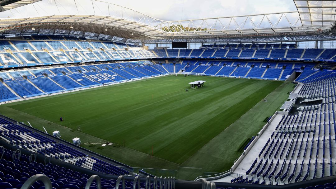 Imagen del nuevo césped en el Reale Arena Imagen del nuevo césped en el Reale Arena