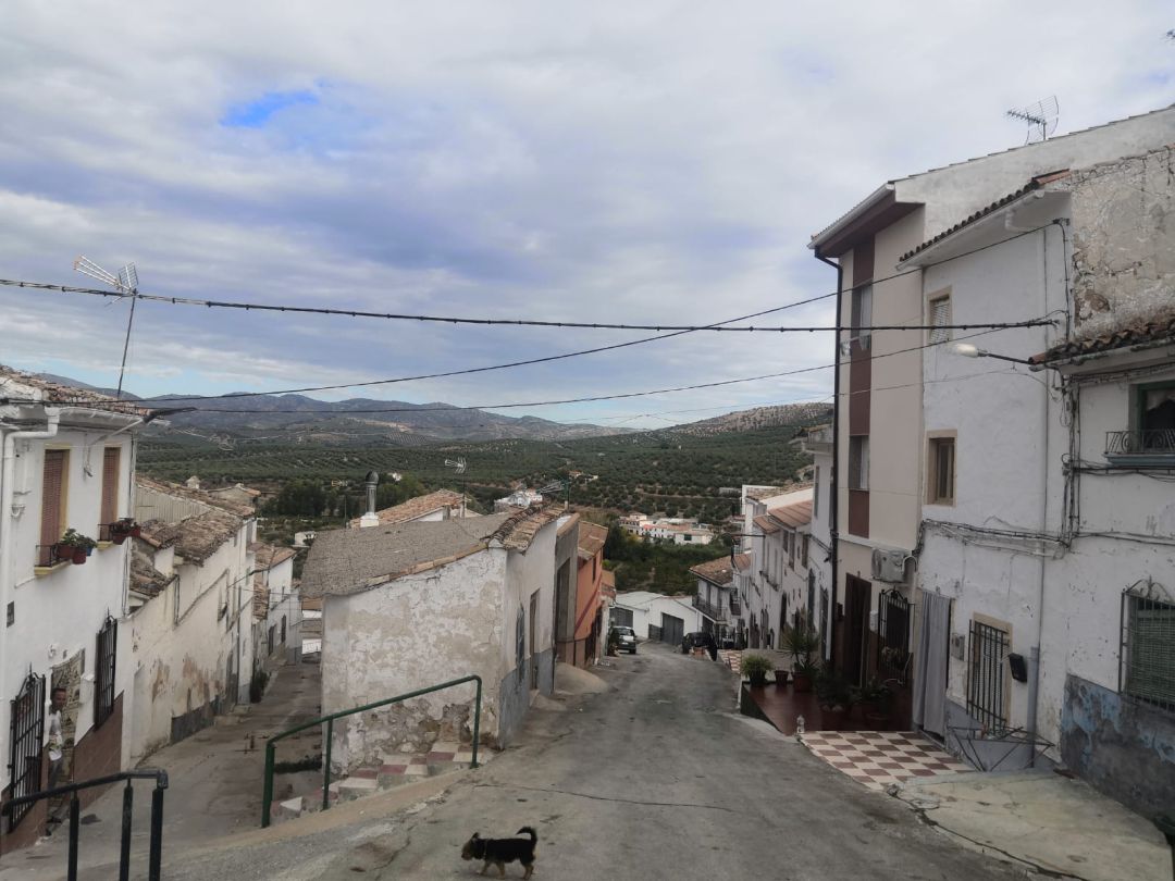 Zona donde se encuentran casas deshabitadas Zona donde se encuentran casas deshabitadas