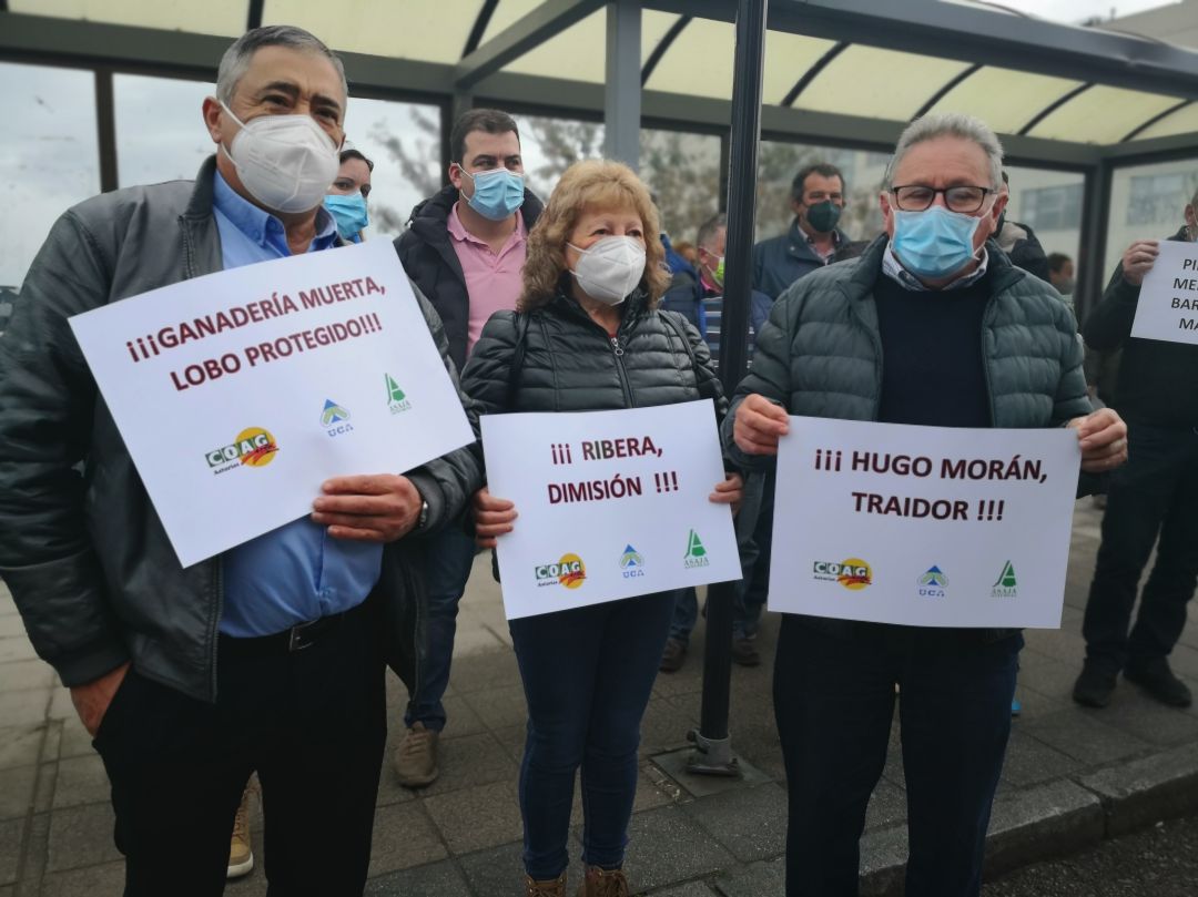 Los ganaderos convocados por los sindicatos del sector, reciben en Oviedo al grito de traidor al secretario de Estado, Hugo Alfonso Morán, por su apoyo a la protección total del lobo. De izq. a dcha, José Ramón García Alba 'Pachón' de UCA; Mercedes Cruzado, de COAG; y Ramón Artime de ASAJA. Los ganaderos convocados por los sindicatos del sector, reciben en Oviedo al grito de traidor al secretario de Estado, Hugo Alfonso Morán, por su apoyo a la protección total del lobo. De izq. a dcha, José Ramón García Alba 'Pachón' de UCA; Mercedes Cruzado, de COAG; y Ramón Artime de ASAJA.