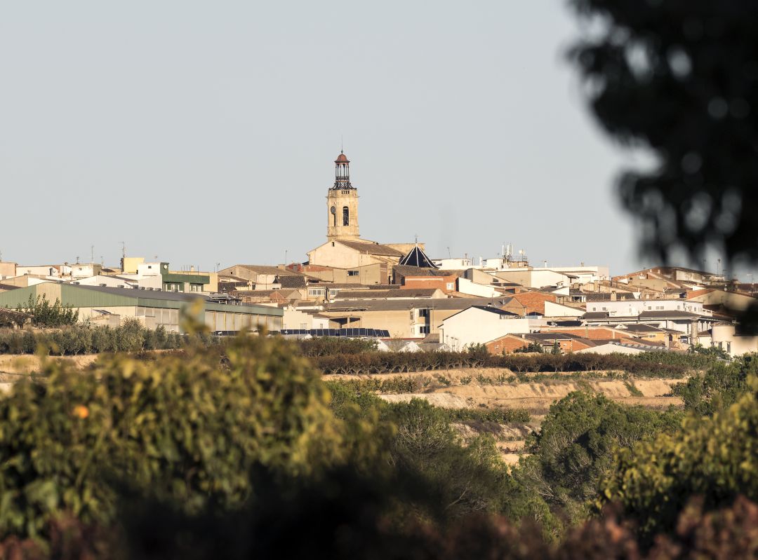 La Pobla del Duc és un dels municipis que ha notificat casos positius La Pobla del Duc és un dels municipis que ha notificat casos positius