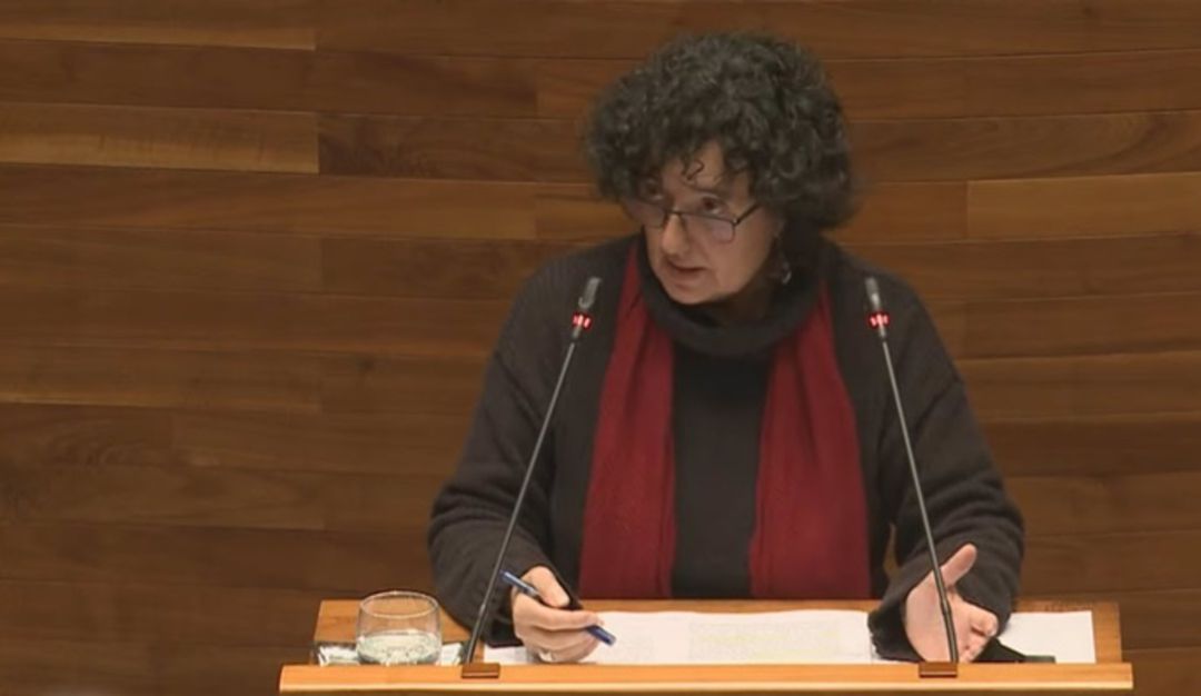Berta Piñán debate con el portavoz de Vox desde la tribuna del parlamento asturiano Berta Piñán debate con el portavoz de Vox desde la tribuna del parlamento asturiano