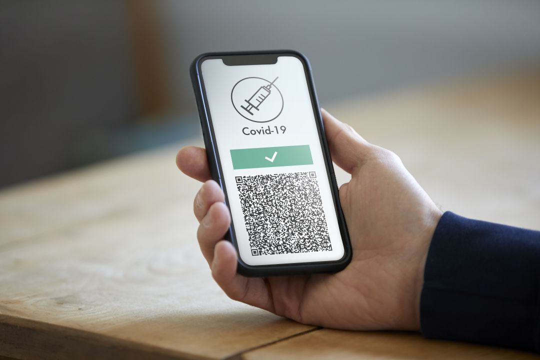 Persona sujetando un móvil con el certificado digital de vacunación. Persona sujetando un móvil con el certificado digital de vacunación.
