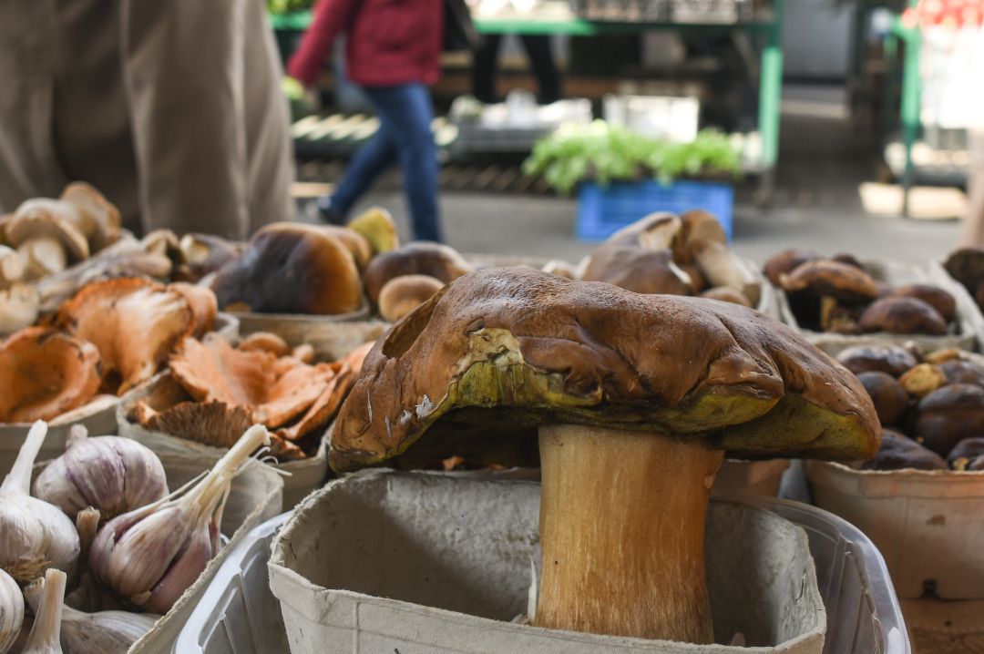 Setas y hongos a la venta en un mercado. Setas y hongos a la venta en un mercado.
