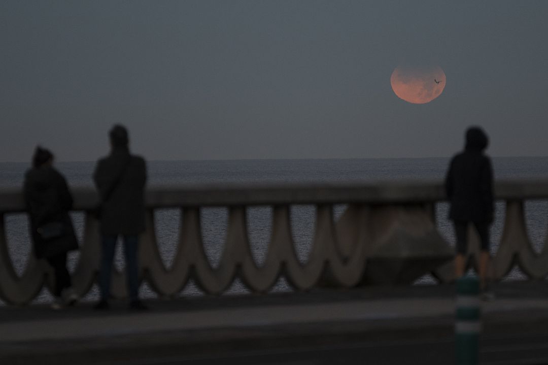 Tres personas observan el eclipse lunar parcial desde A Coruña este 19 de noviembre de 2021. Tres personas observan el eclipse lunar parcial desde A Coruña este 19 de noviembre de 2021.