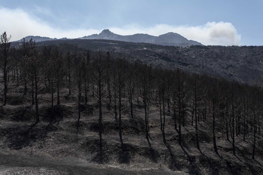 El incendio afectó a 14 municipios El incendio afectó a 14 municipios