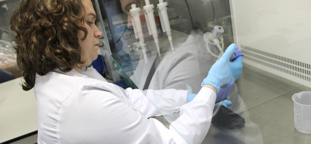 La Universidad de Jaén recibirá equipamiento científico-tecnológico por valor superior a un millón de euros. La Universidad de Jaén recibirá equipamiento científico-tecnológico por valor superior a un millón de euros.