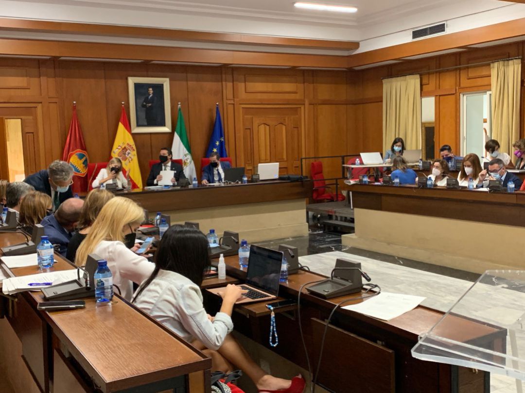 Imagen del pleno municipal. Imagen del pleno municipal.