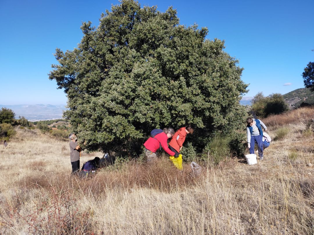 Reforestación y conciencia medioambiental Reforestación y conciencia medioambiental