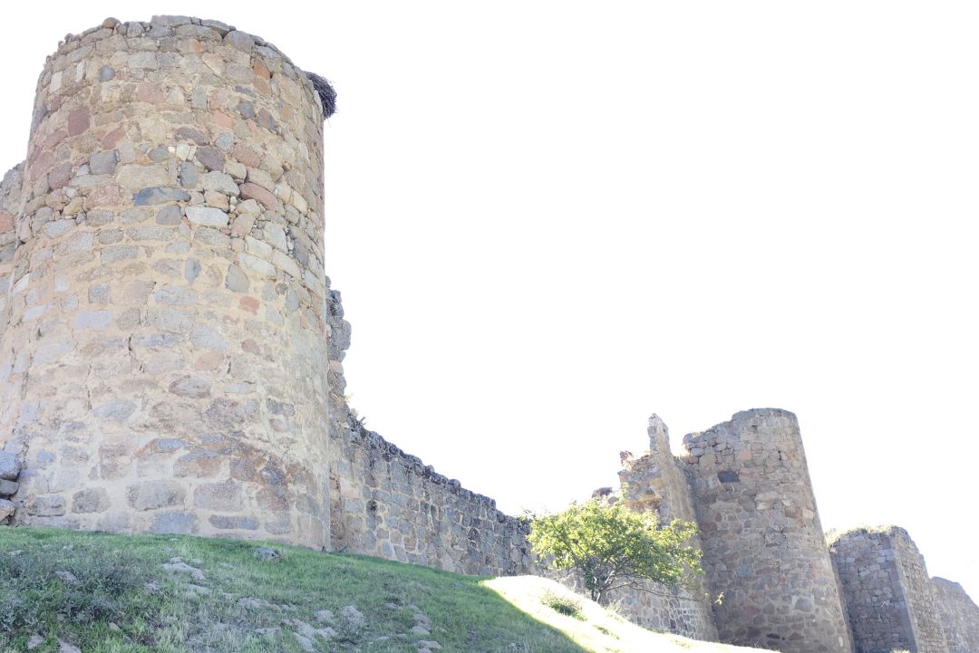 Restos del castillo y la muralla
Restos del castillo y la muralla