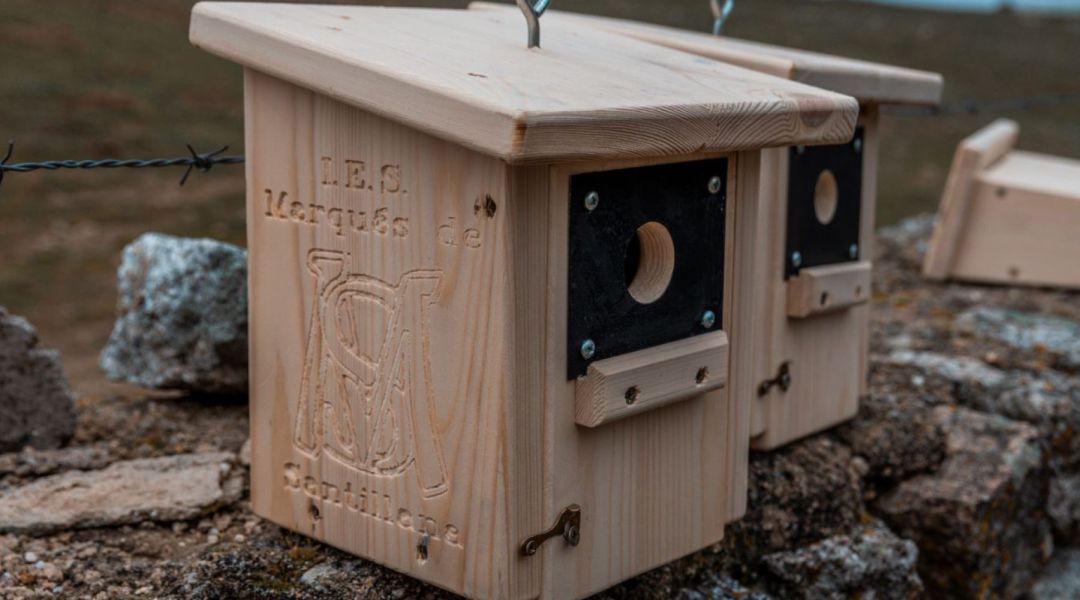 Los alumnos de las Aulas de Compensación Educativa del IES Marqués de Santillana mantienen la instalación de las cajas nido Los alumnos de las Aulas de Compensación Educativa del IES Marqués de Santillana mantienen la instalación de las cajas nido