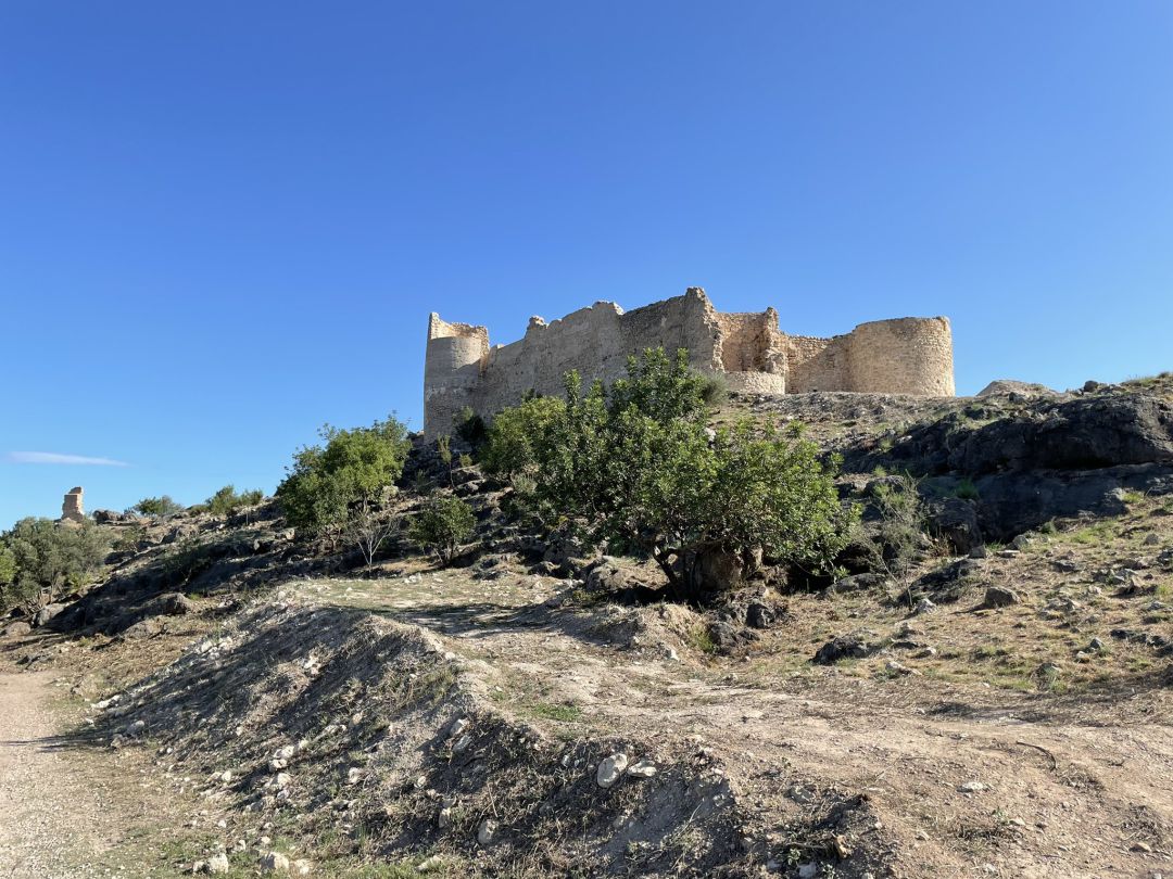 Una de las propuestas es un espacio de recepción para el Castell de Bairen Una de las propuestas es un espacio de recepción para el Castell de Bairen
