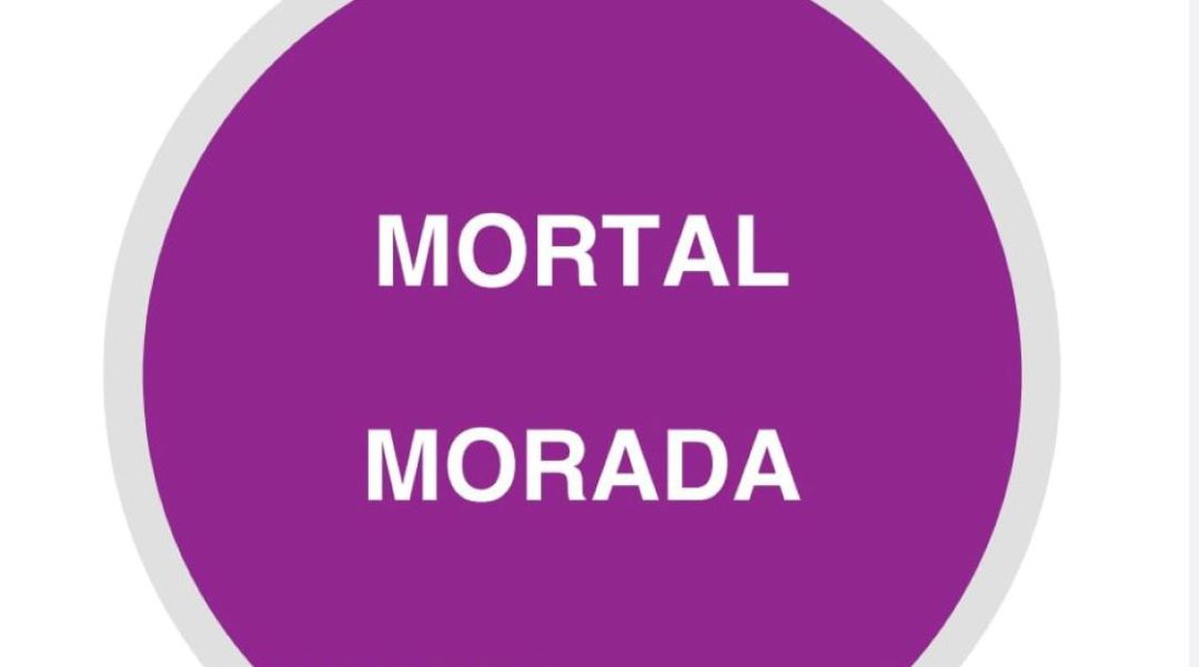 La Asociación Entreguiones se suma a las actividades organizadas en honor al Día Internacional de la Eliminación de la Violencia contra la Mujer La Asociación Entreguiones se suma a las actividades organizadas en honor al Día Internacional de la Eliminación de la Violencia contra la Mujer