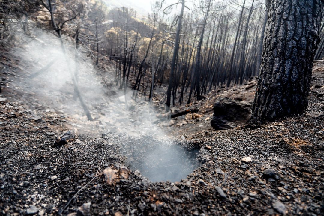 Archivo - Zonas quemadas por el incendio de Sierra Bermeja, en el área de Puerto de Peñas Blancas a 14 de septiembre 2021 en Estepona (Málaga) Andalucía Archivo - Zonas quemadas por el incendio de Sierra Bermeja, en el área de Puerto de Peñas Blancas a 14 de septiembre 2021 en Estepona (Málaga) Andalucía