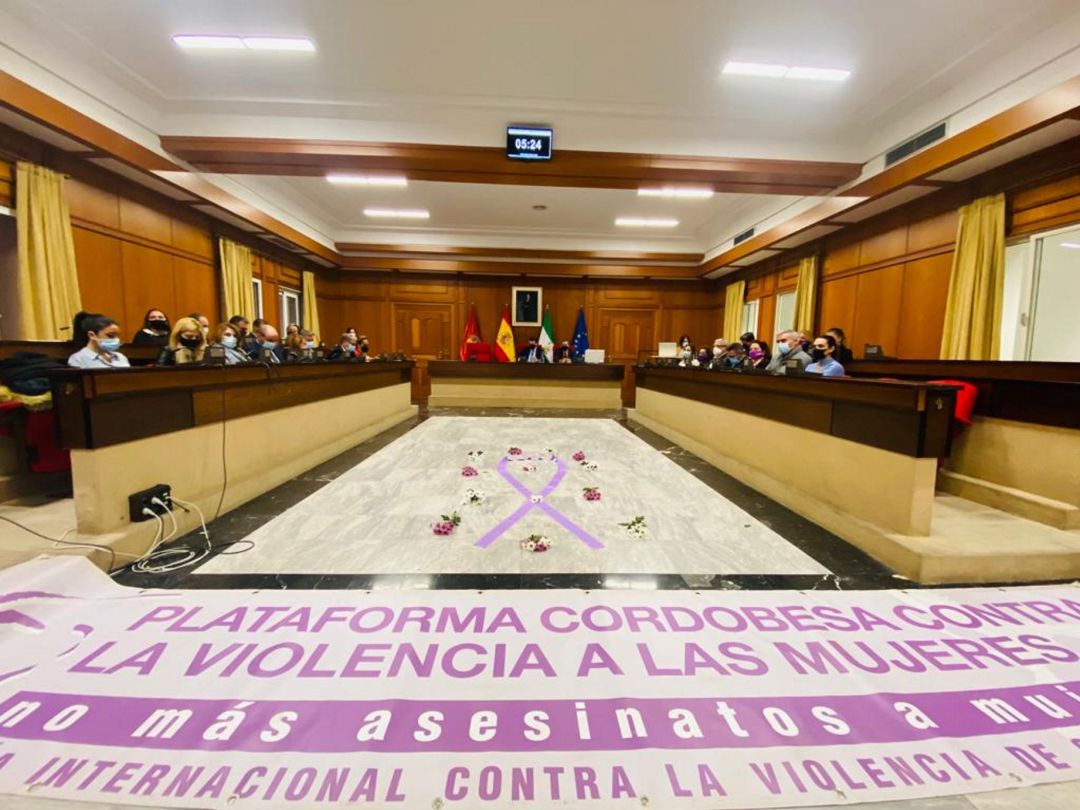 Pleno extraordinario del Ayuntamiento de Córdoba con motivo del 25N Pleno extraordinario del Ayuntamiento de Córdoba con motivo del 25N