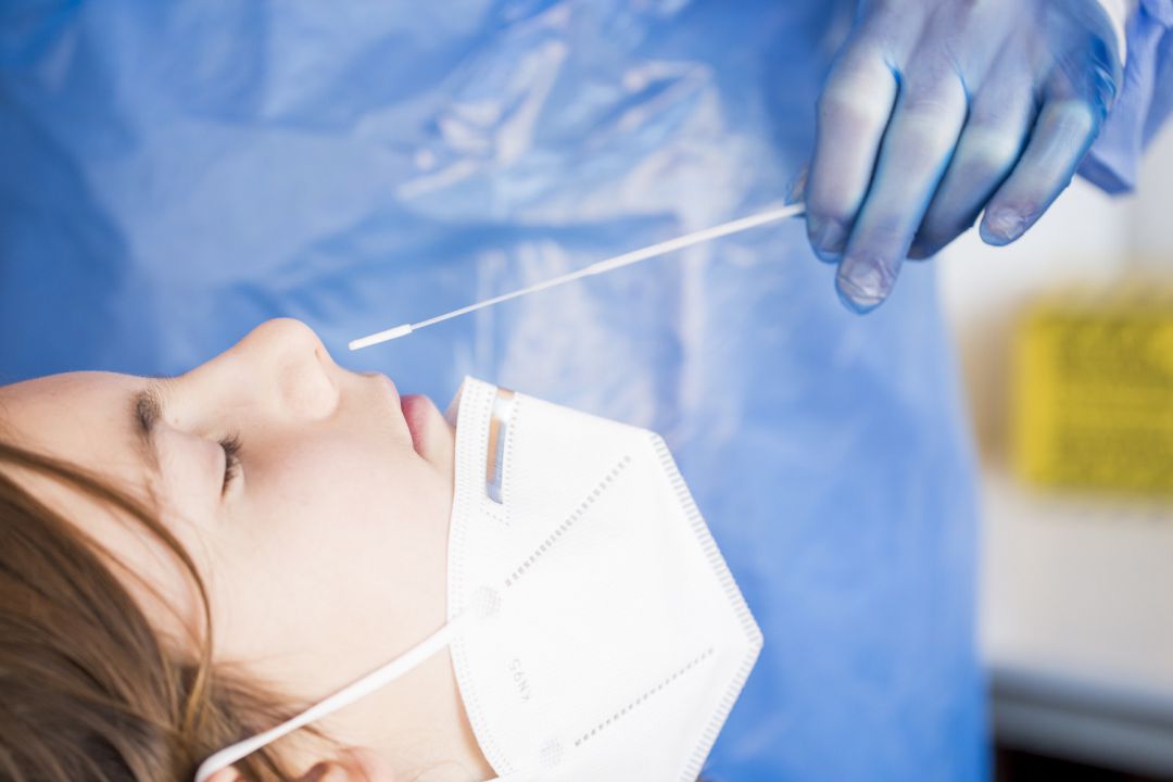 Prueba PCR Prueba PCR